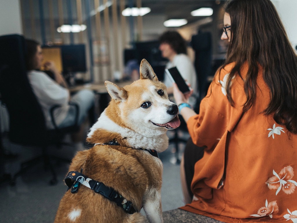 Memory Squared - Design Driven Software House