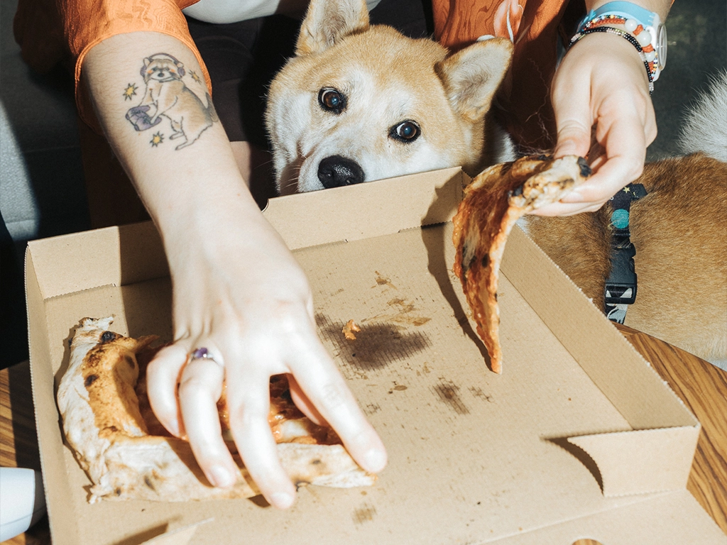 Memory Squared - Design Driven Software House